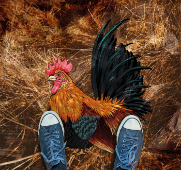 Tapete vinílico estampa de animal galo vibrante - TenStickers