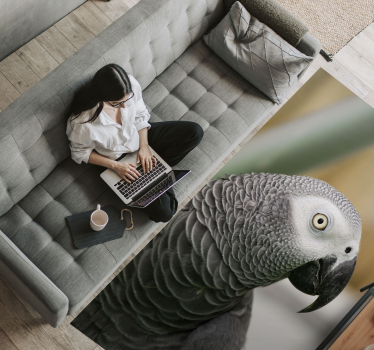 Tapete vinílico de animais papagaio cinza em close-up - TenStickers