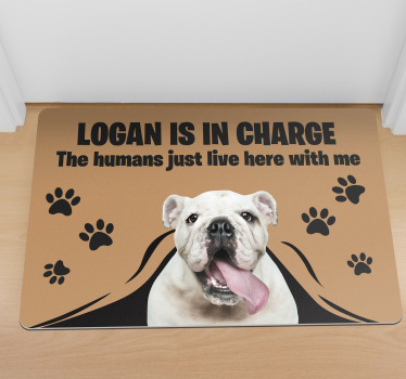 Tapete vinílico entrada foto personalizada de animal de estimação - TenStickers