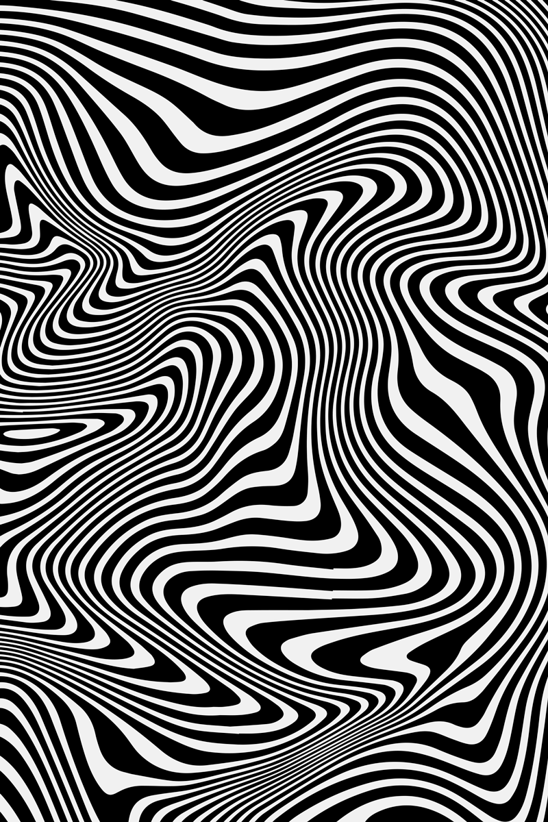 Tapete vinílico de animais efeito 3d zebra - TenStickers