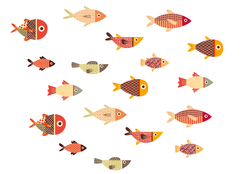 Tapete vinílico de animais peixes coloridos redondos - TenStickers