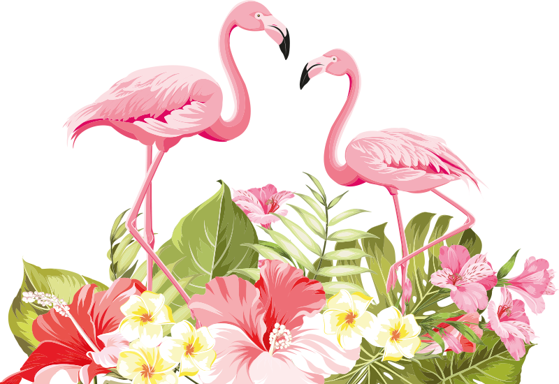 Tapete vinílico de animais flor tropical flamingo - TenStickers