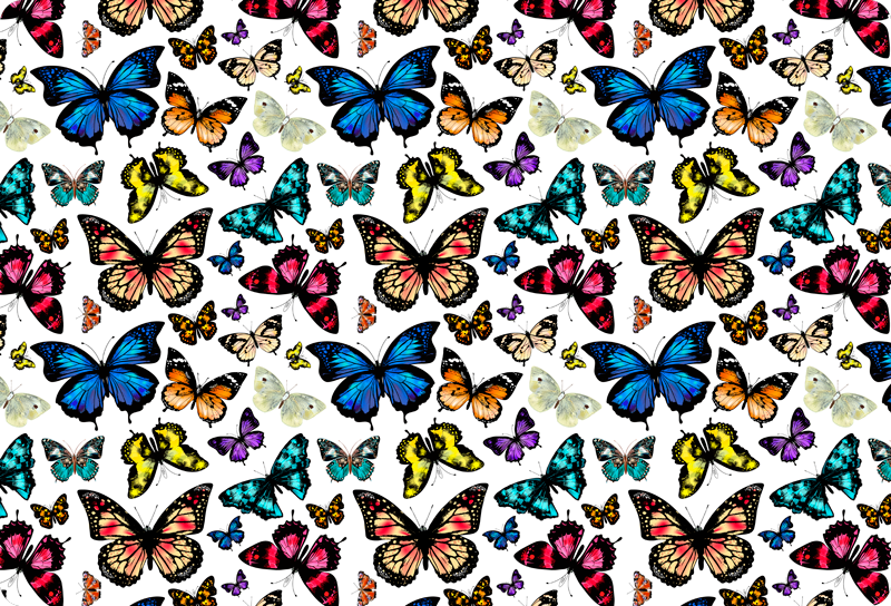 Tapete vinílico de animais borboletas lindas e coloridas - TenStickers