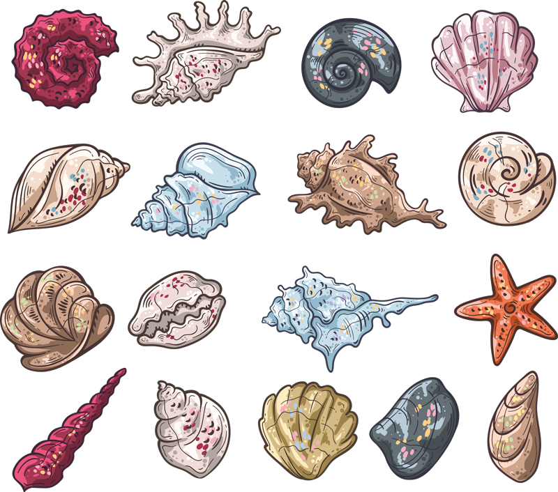 Tapete vinílico de animais desenhos de conchas - TenStickers