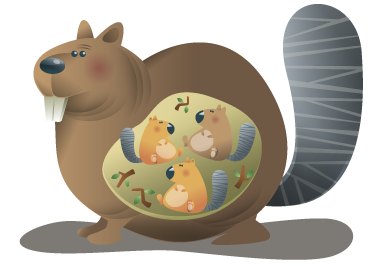 Tapete vinílico de animais mãe esquilo - TenStickers