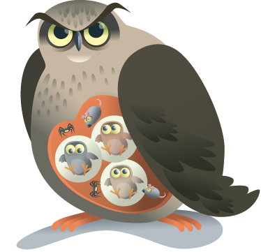 Tapete vinílico de animais coruja mãe - TenStickers