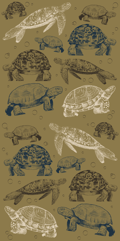 Tapete vinílico de animais tartarugas em fundo bege - TenStickers