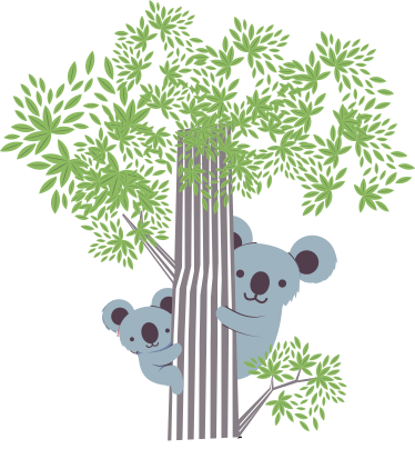 Tapete vinílico de animais koalas na árvore - TenStickers