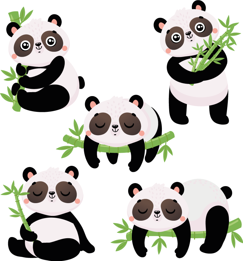 Tapete vinílico de animais com ilustrações de panda fofas - TenStickers