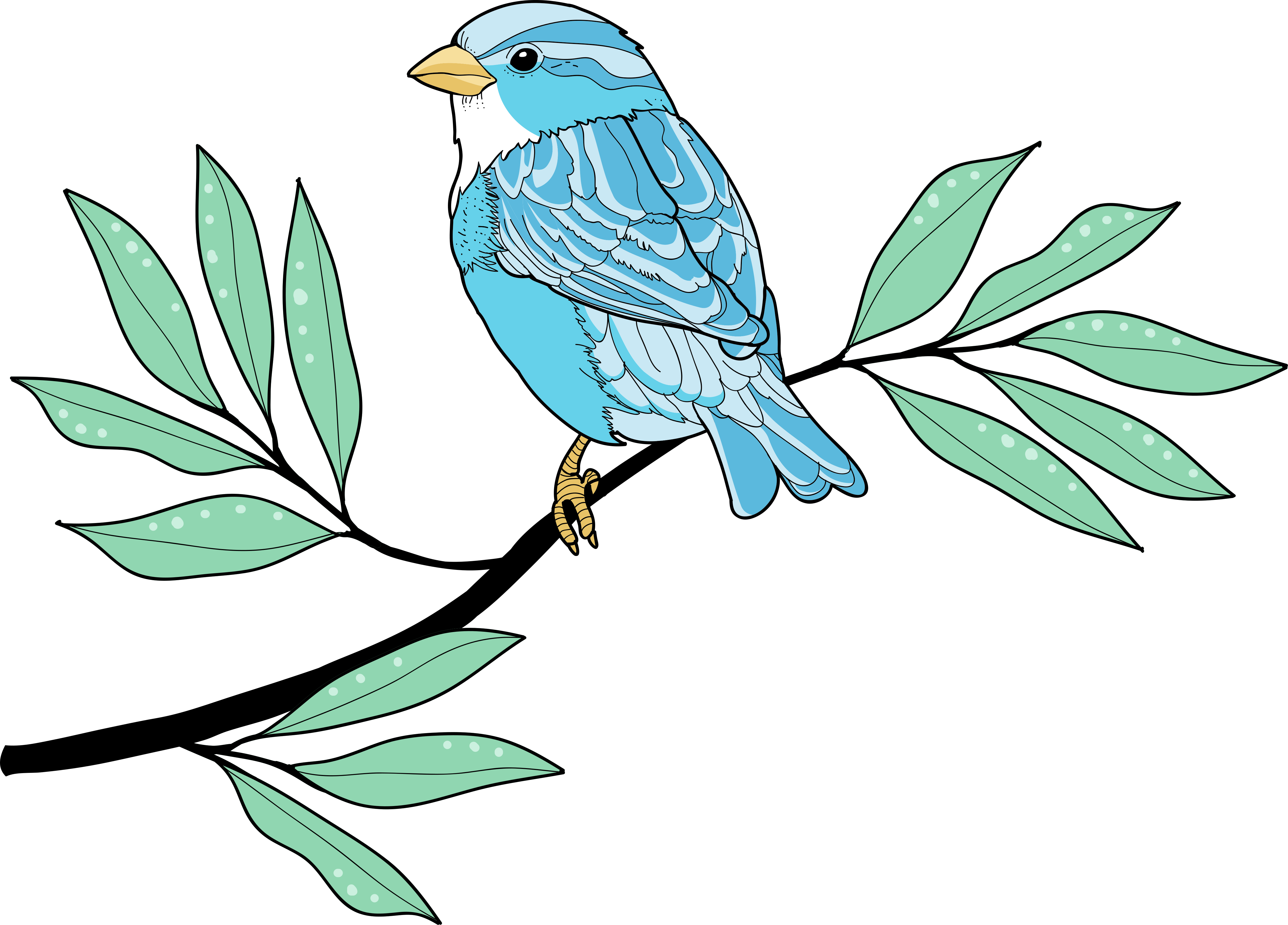 Tapete vinílico de animais pássaro de penas azuis - TenStickers