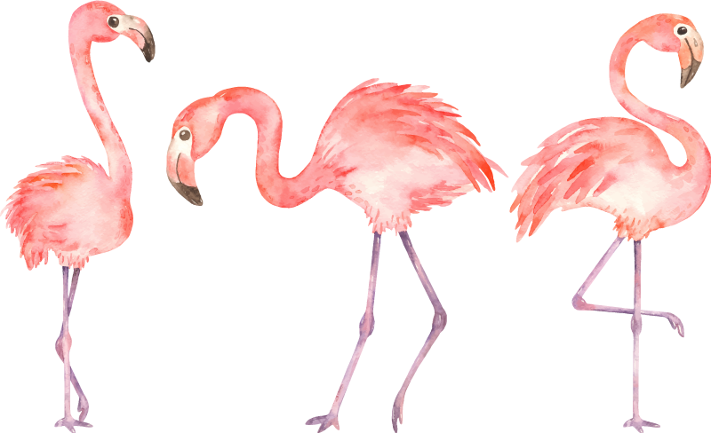 Tapete vinílico de animais trio de flamingos elegantes - TenStickers