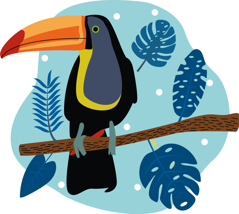Tapete vinílico de animais tucano tropical empoleirado - TenStickers