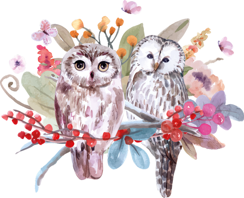 Tapete vinílico de animais corujas na natureza - TenStickers
