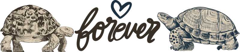 Tapete vinílico de animais amor eterno das tartarugas - TenStickers