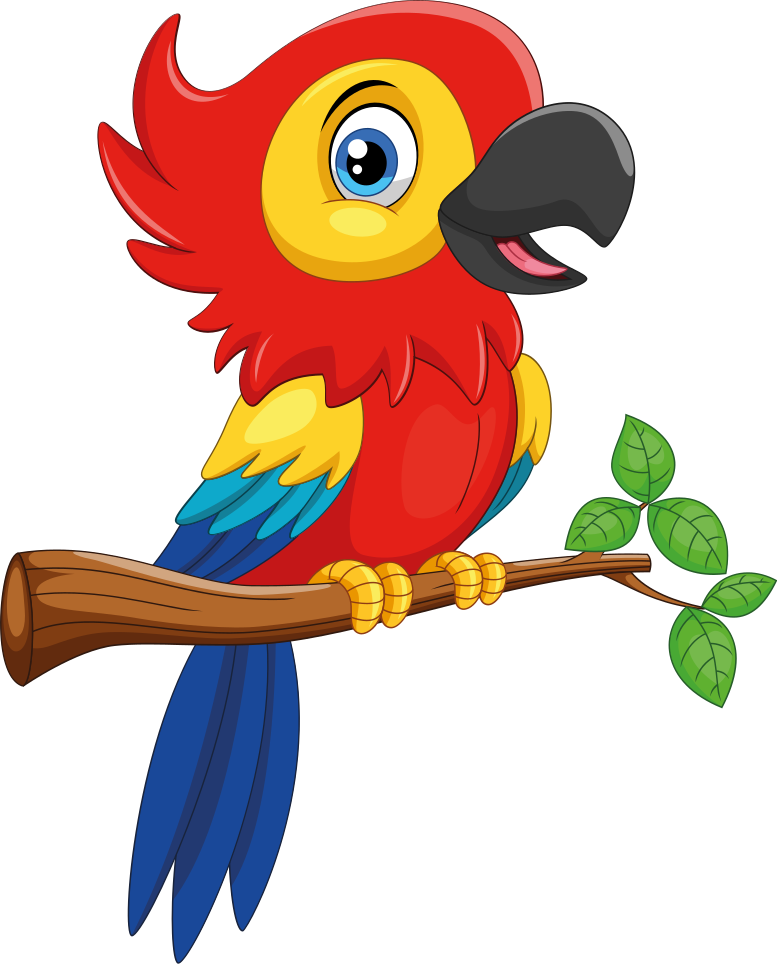 Tapete vinílico de animais pássaro colorido - TenStickers