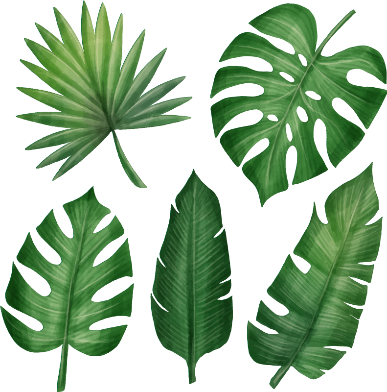 Tapete vinílico flores e plantas coleção de folhas tropicais - TenStickers