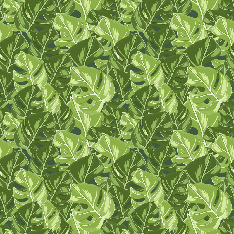 Tapete vinílico flores e plantas design monstera - TenStickers