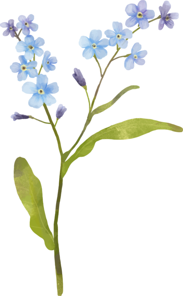 Tapete vinílico flores e plantas planta azul graciosa - TenStickers