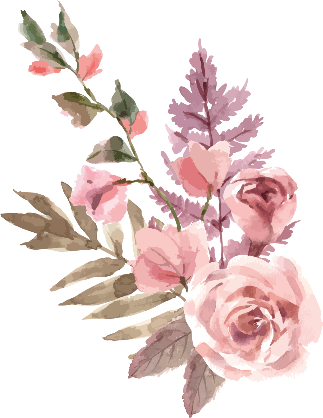 Tapete vinílico flores e plantas composição aquarela - TenStickers
