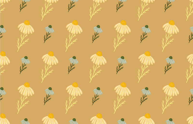 Tapete vinílico flores e plantas padrão flores de camomila - TenStickers