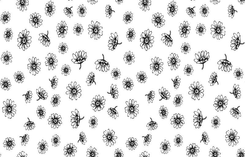 Tapete vinílico flores e plantas contorno de margaridas - TenStickers