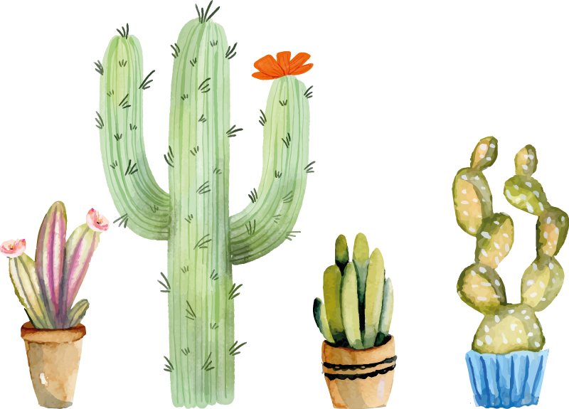 Tapete vinílico para sala de jantar variedade de cactos - TenStickers