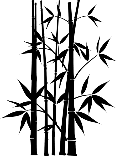 Tapete vinílico casa de banho adesivo bambu decorativo - TenStickers
