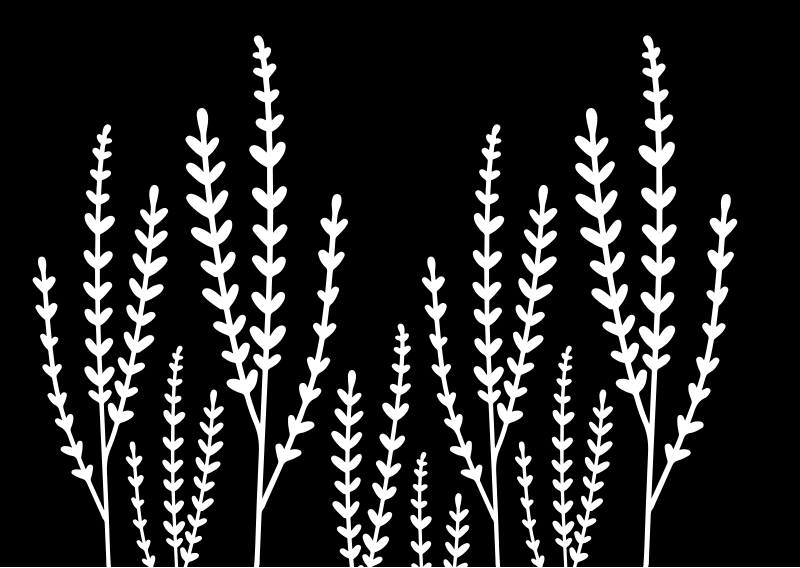 Tapete vinílico casa de banho espinhos pretos e brancos - TenStickers