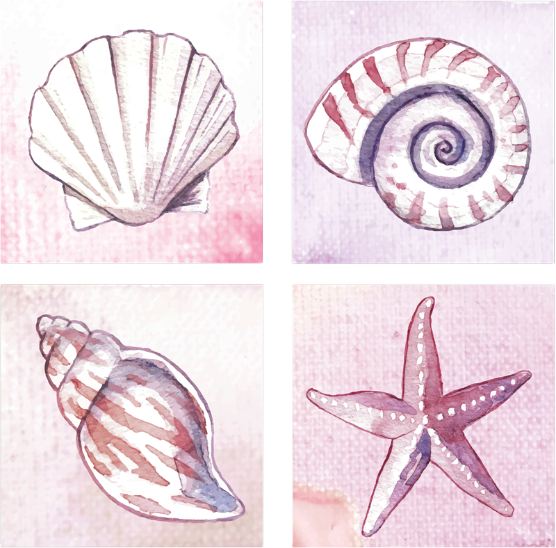 Tapete vinílico casa de banho azulejos vida marinha - TenStickers