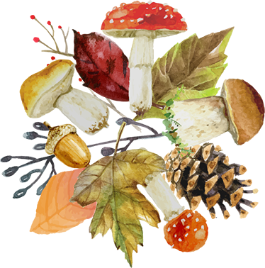 Tapete vinílico natureza folhas e frutos florestais - TenStickers