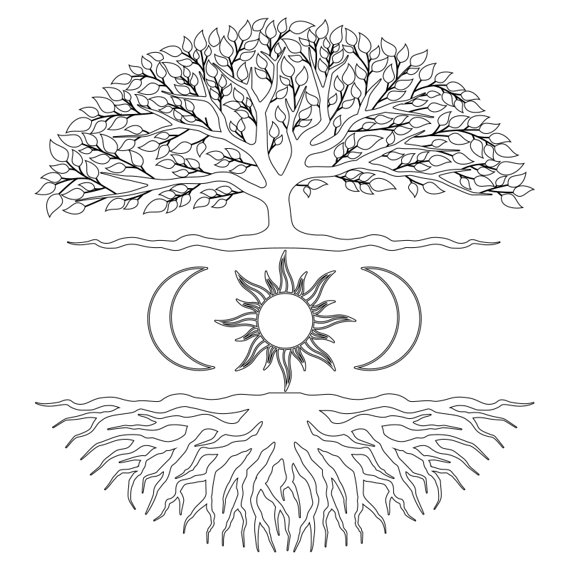 Tapete vinílico natureza sistema de raiz de Árvore - TenStickers