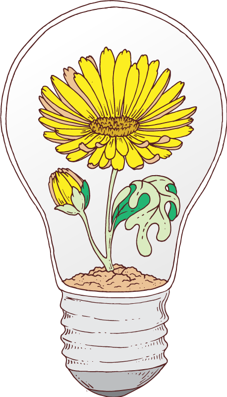 Tapete vinílico natureza lâmpada florindo - TenStickers