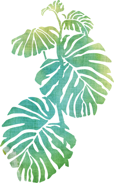 Tapete vinílico flores e plantas costela de adão - TenStickers