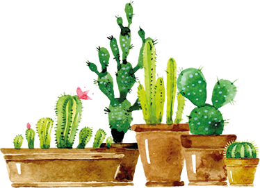 Tapete vinílico flores e plantas jardim de cactos caseiro - TenStickers