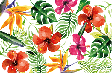 Tapete vinílico flores e plantas adesivos monstera deliciosa - TenStickers