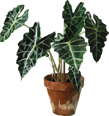 Tapete vinílico flores e plantas em vaso geométrico - TenStickers