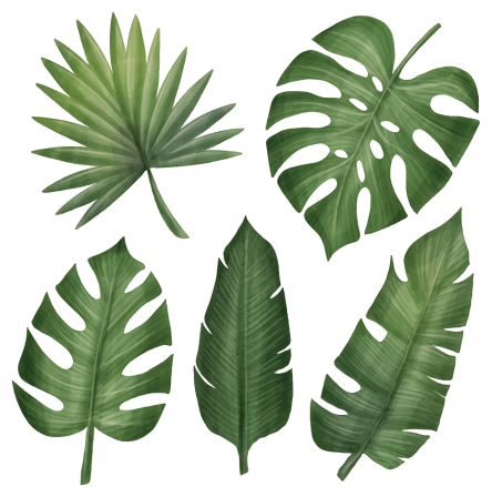 Tapete vinílico flores e plantas folhas verdes grandes - TenStickers