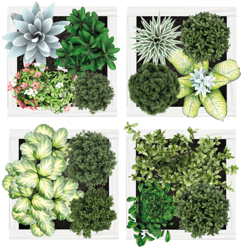 Tapete vinílico flores e plantas azulejos verticais - TenStickers