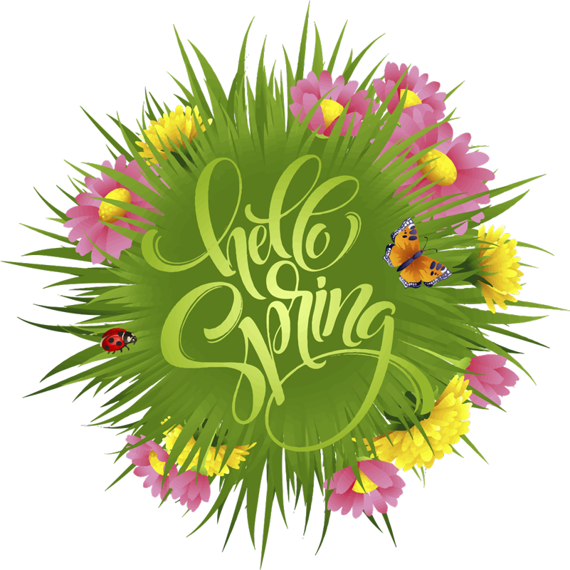 Tapete vinílico flores e plantas campo de flores - TenStickers