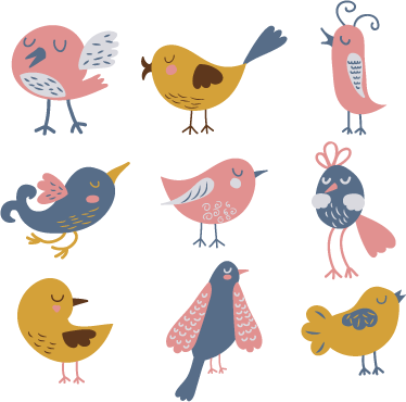 Tapete vinílico infantis adesivo nove passarinhos - TenStickers