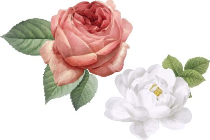 Tapete vinílico quarto rosas brancas e pink - TenStickers