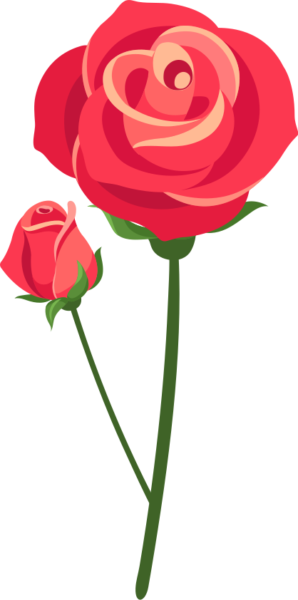 Tapete vinílico quarto rosas 3d - TenStickers