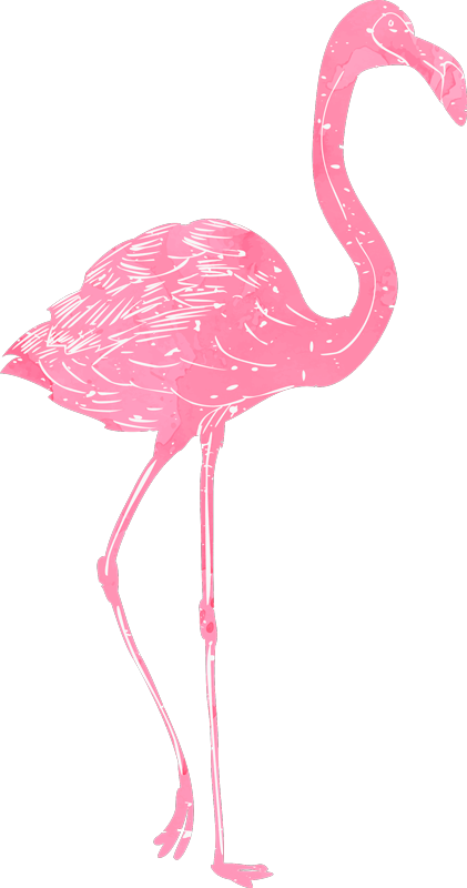 Tapete vinílico quarto flamenco aquarela - TenStickers