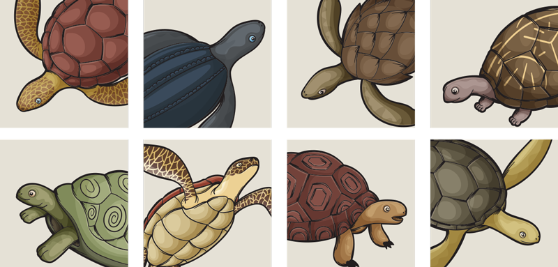 Tapete vinílico casa de banho com azulejos de tartarugas - TenStickers