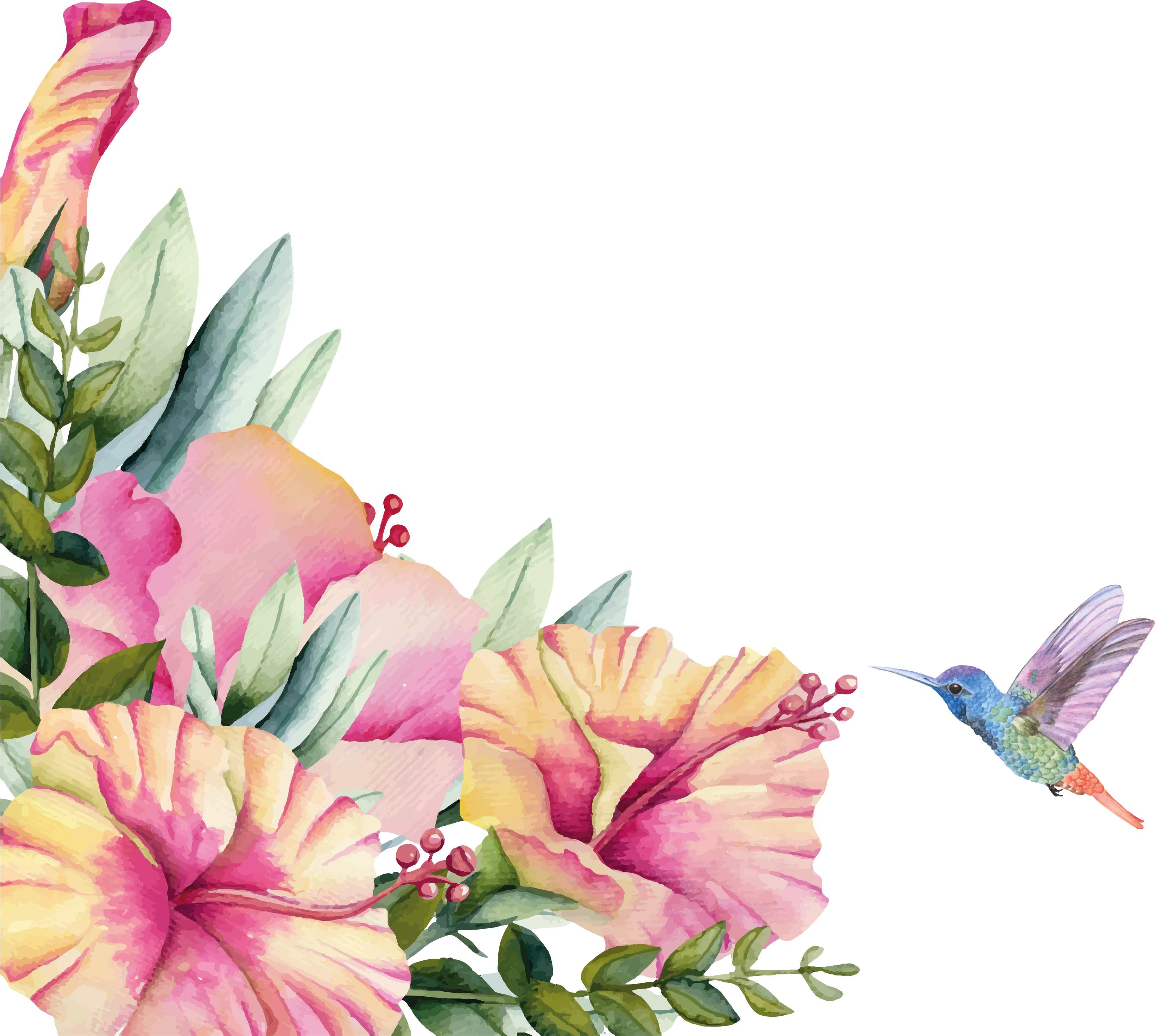 Tapete vinílico casa de banho flores com beija-flor - TenStickers