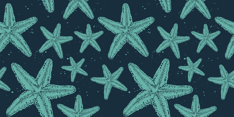 Tapete vinílico casa de banho estrelas do mar azuis - TenStickers