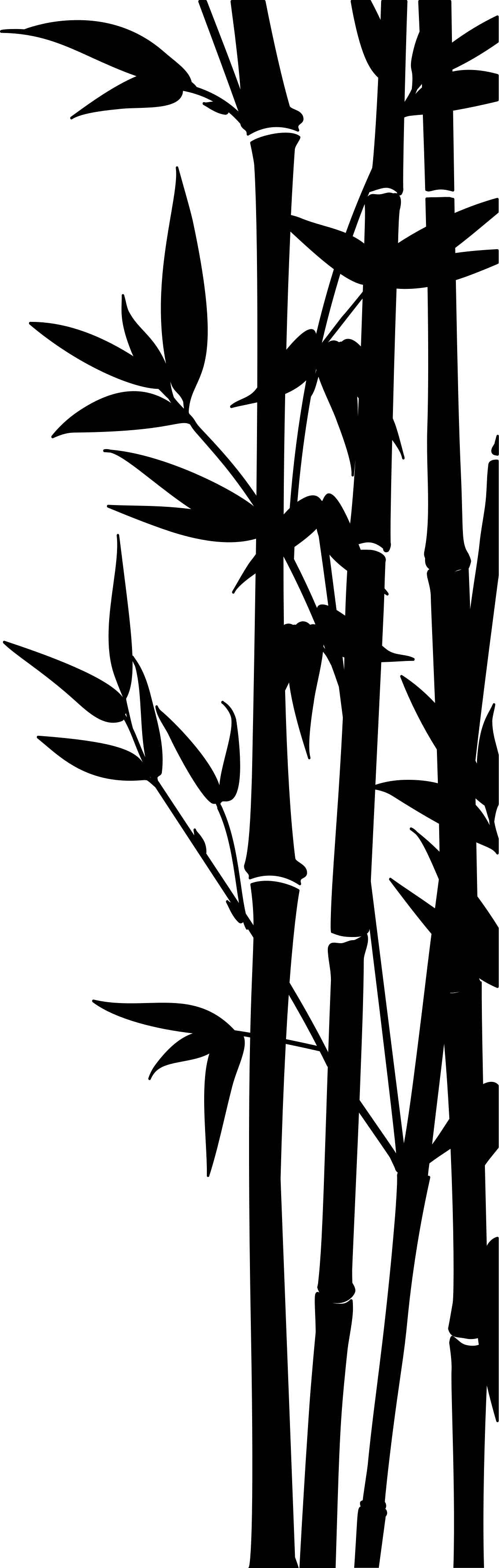 Tapete vinílico casa de banho adesivo de bambu - TenStickers