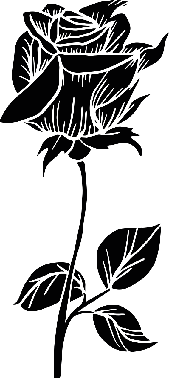Tapete vinílico casa de banho rosa para box - TenStickers