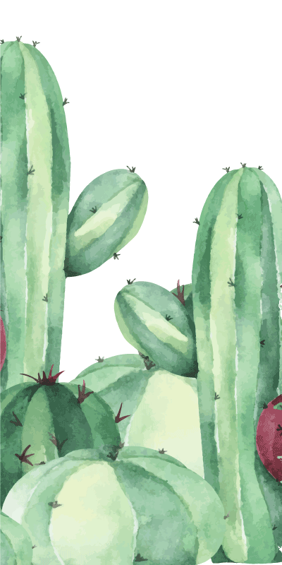 Tapete vinílico casa de banho plantas cactos - TenStickers