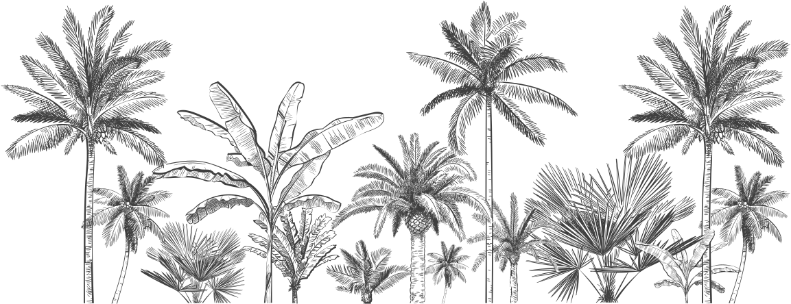 Tapete vinílico casa de banho árvores tropicais - TenStickers